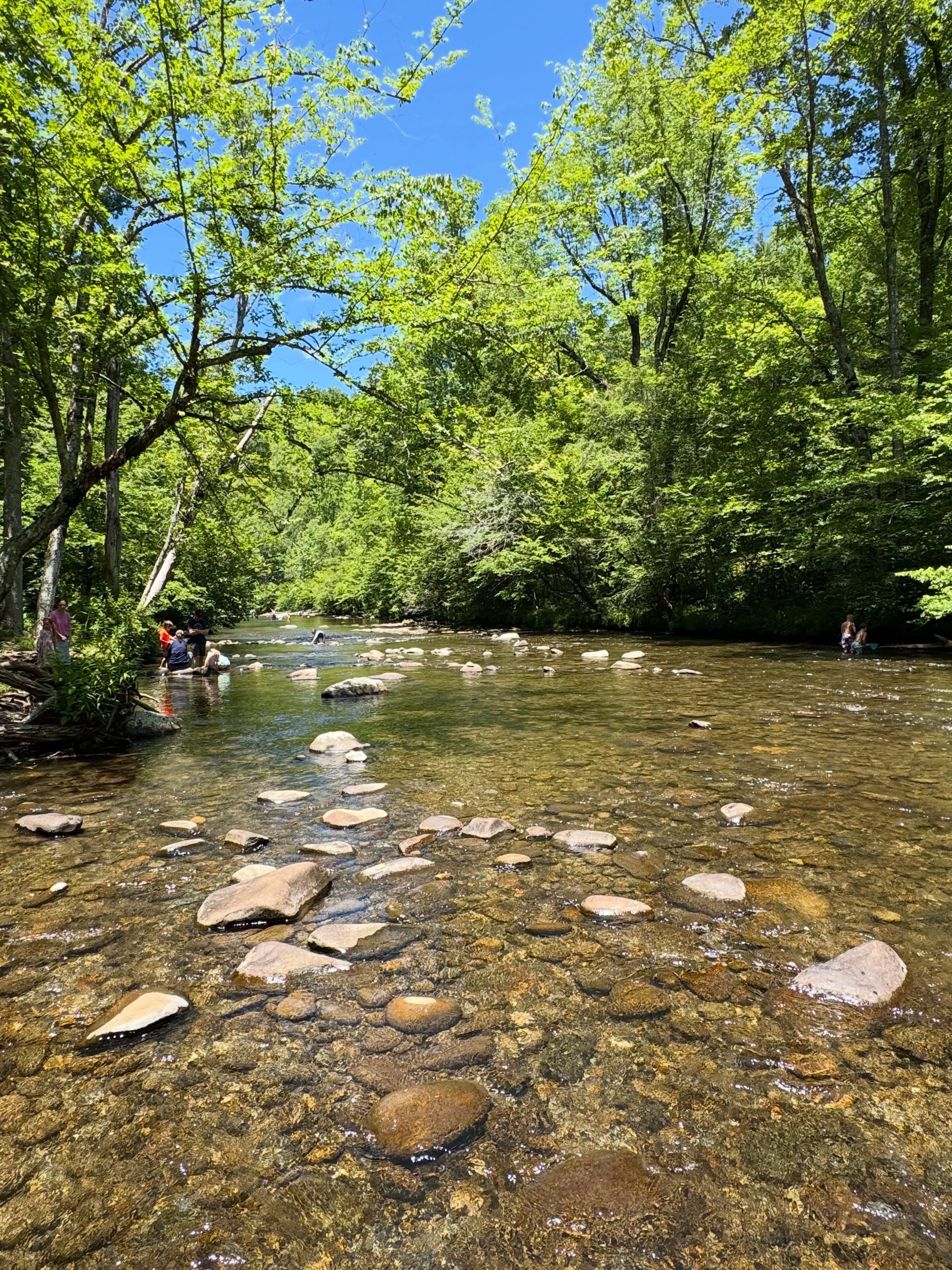 A clear, shallow creek under trees at Metcalf Bottoms
