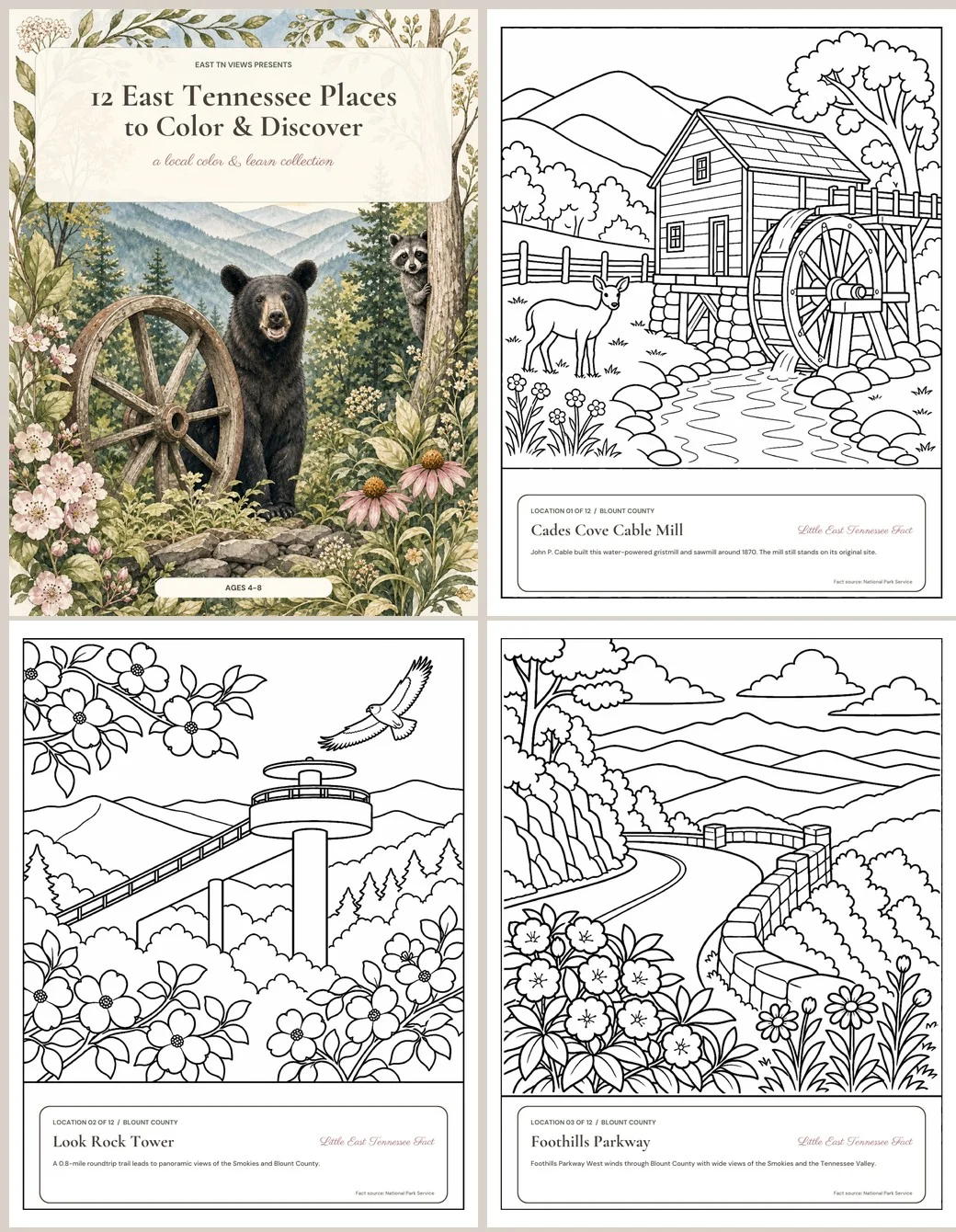 East Tennessee coloring book cover with sample Cades Cove, Look Rock, and Foothills Parkway pages
