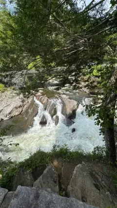 Water rushing over rocks beneath shaded trees in East Tennessee