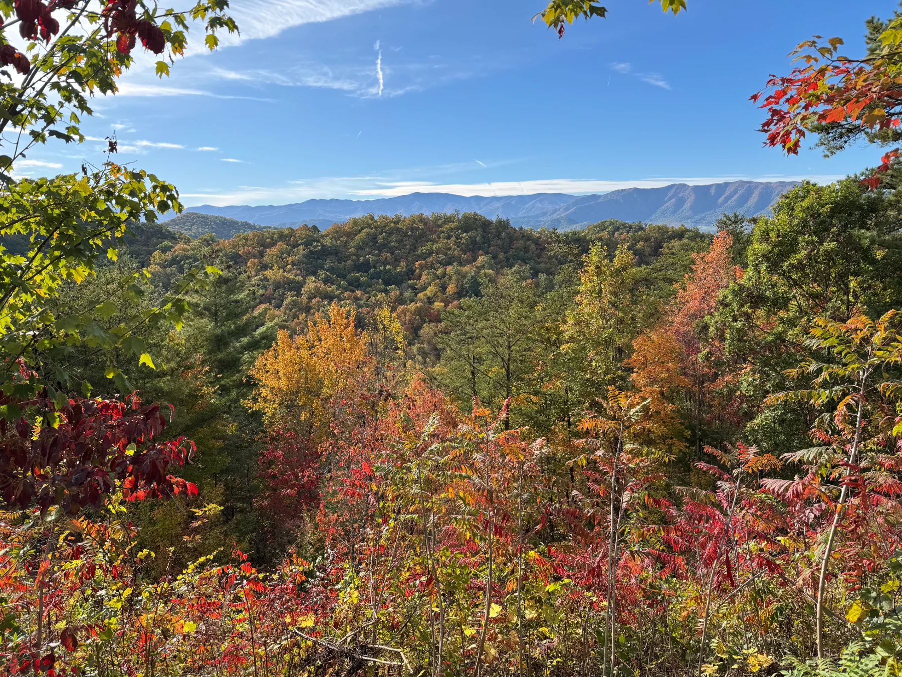 Fall Break Experiences in East Tennessee — an East Tennessee outdoor experience