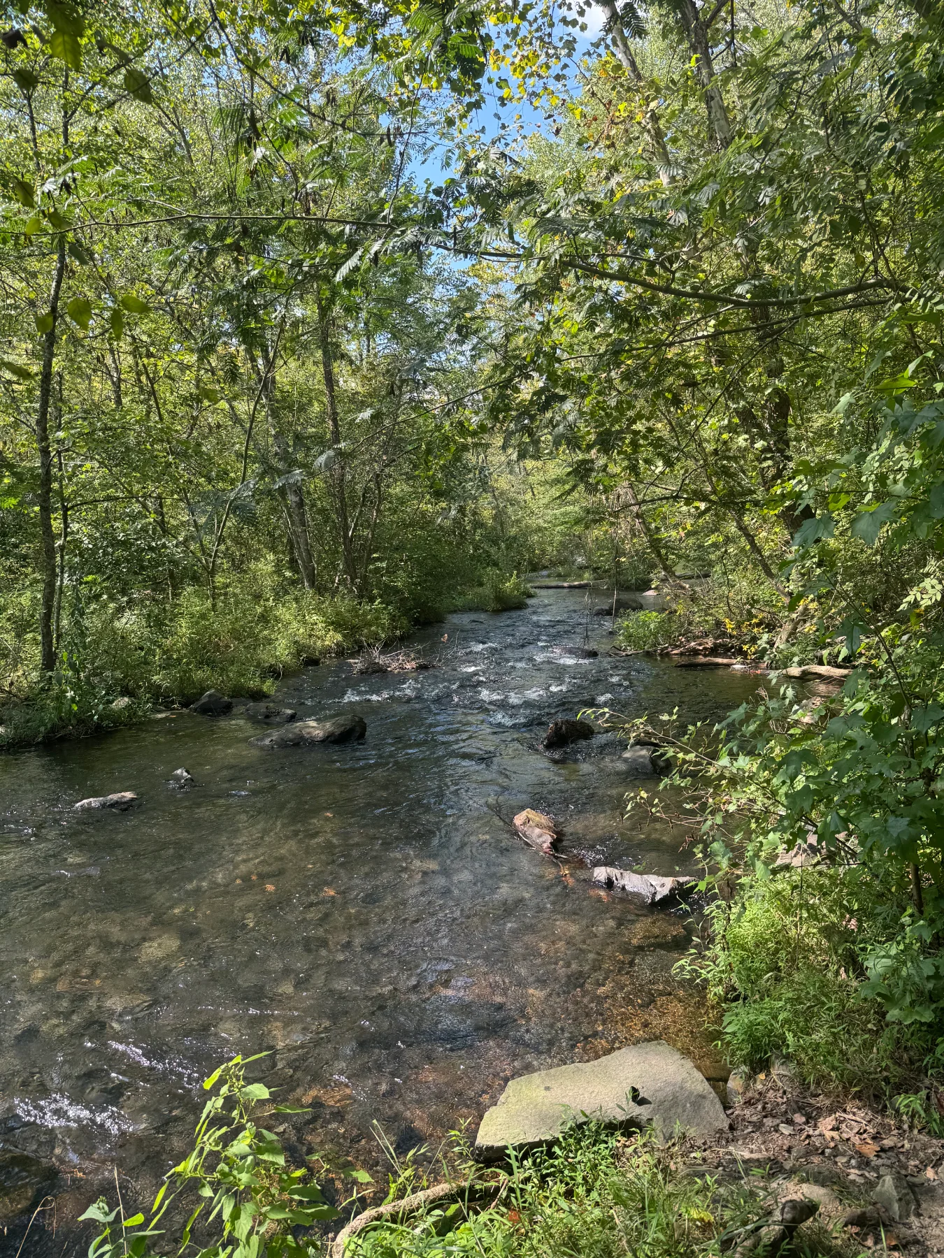 Take the Scenic Route — an East Tennessee outdoor experience