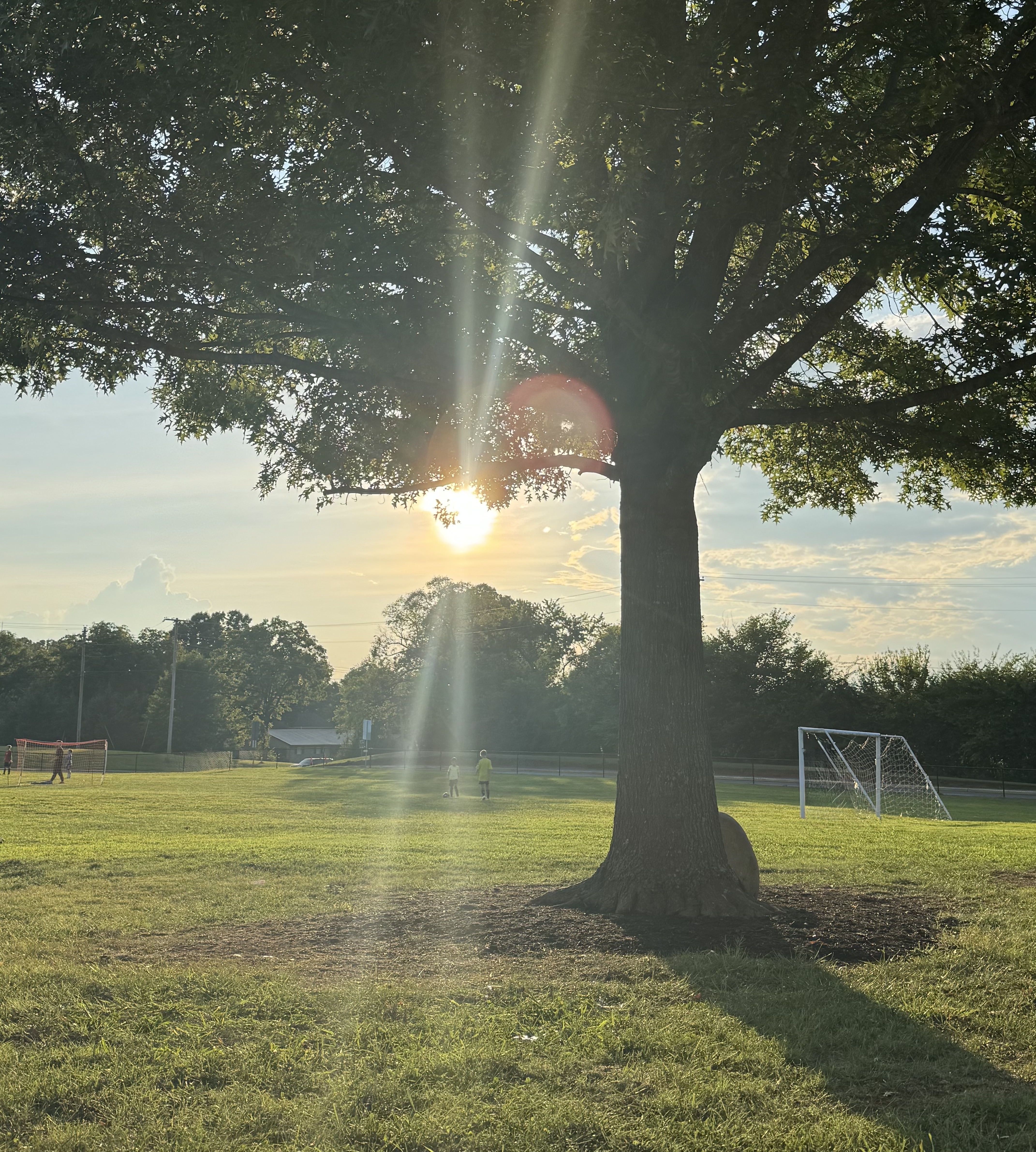 Life Lately: A Full Season — an honest everyday family moment