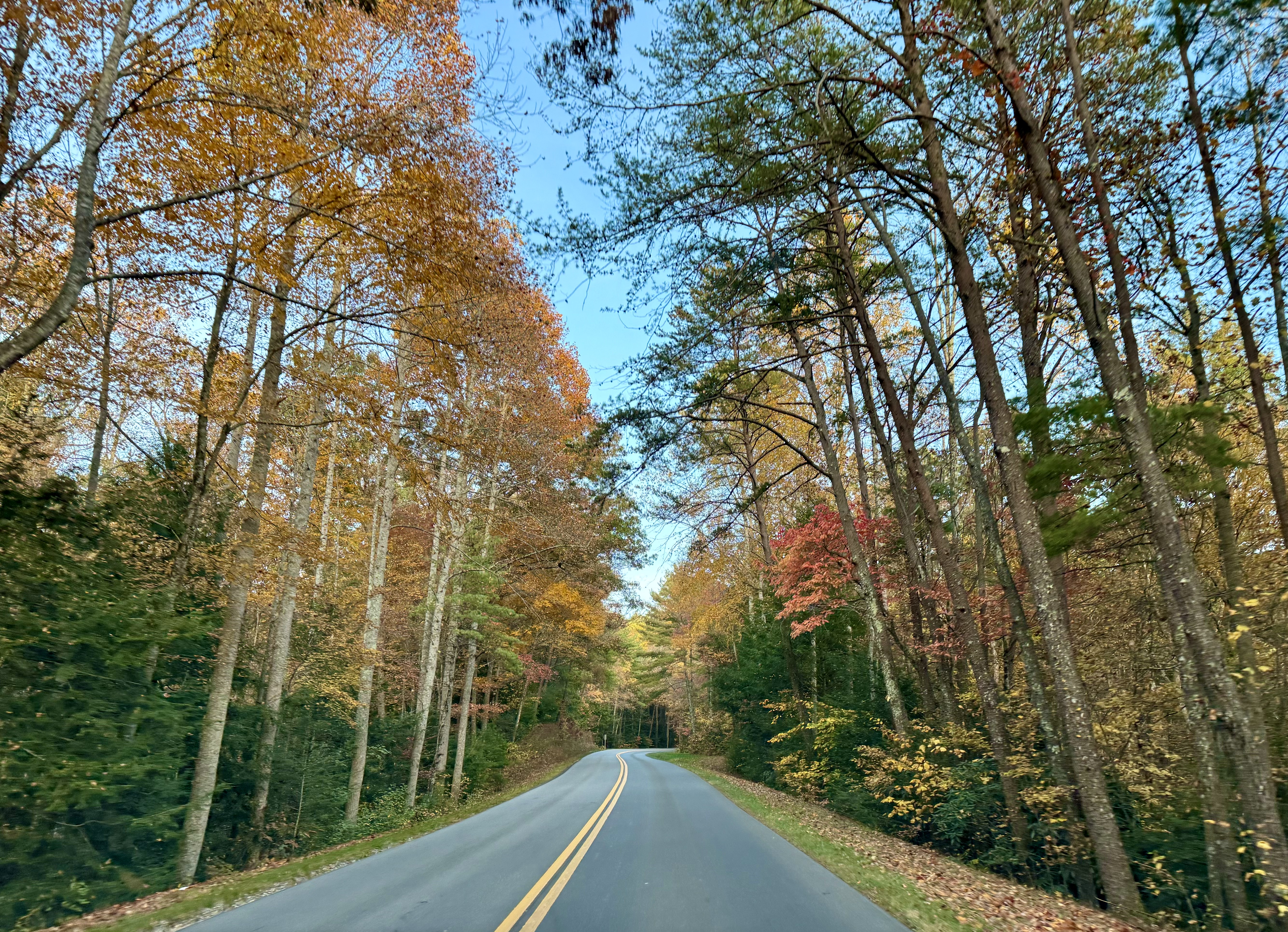 An East Tennessee Road