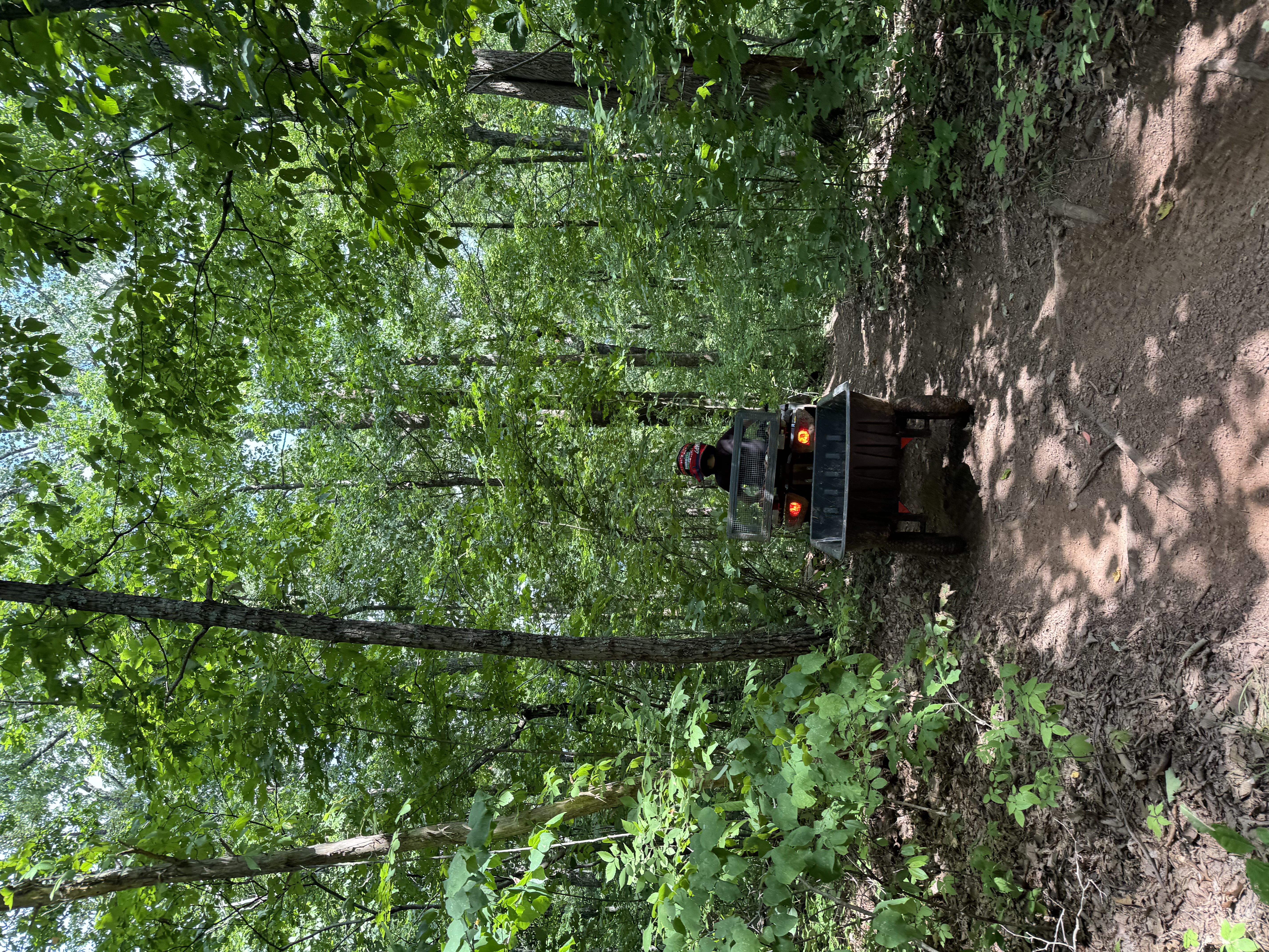 Riding on a quad down a hill