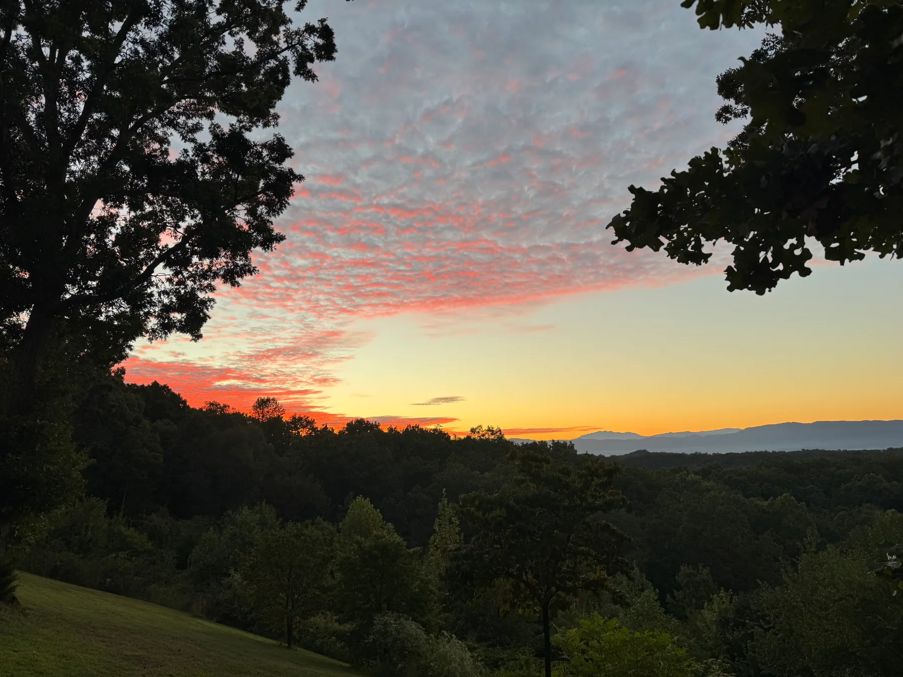 Coming Home to Fall — a warm everyday moment in East Tennessee