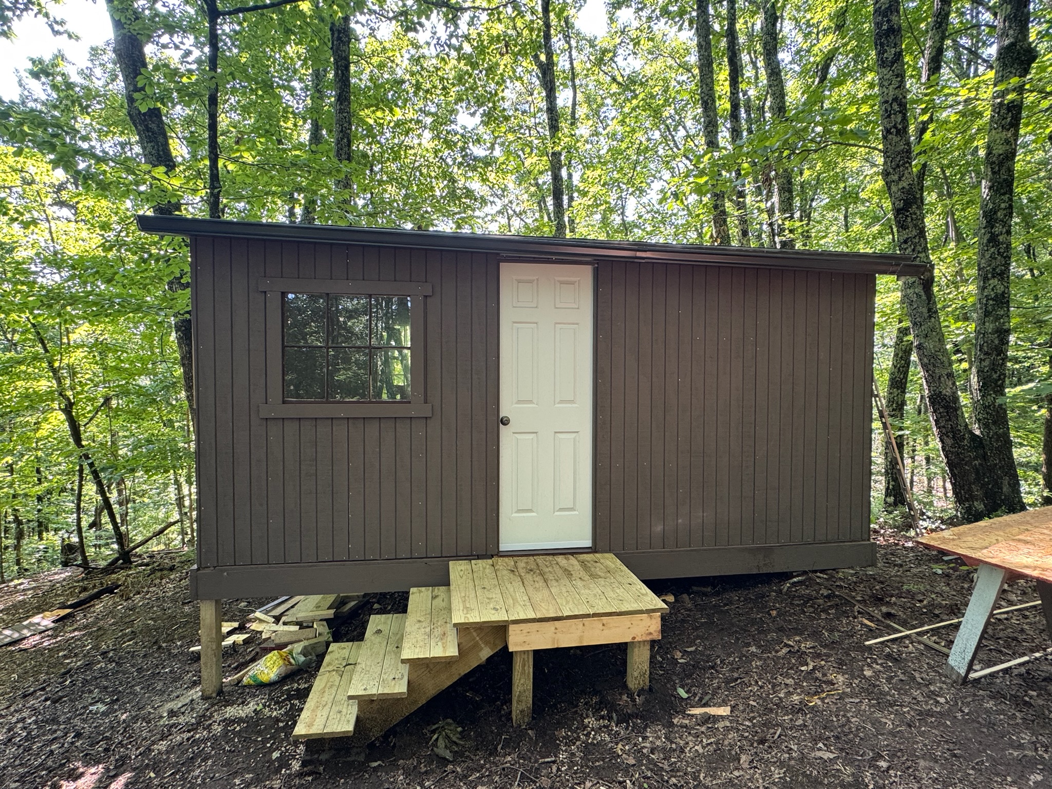 Cabin in the woods
