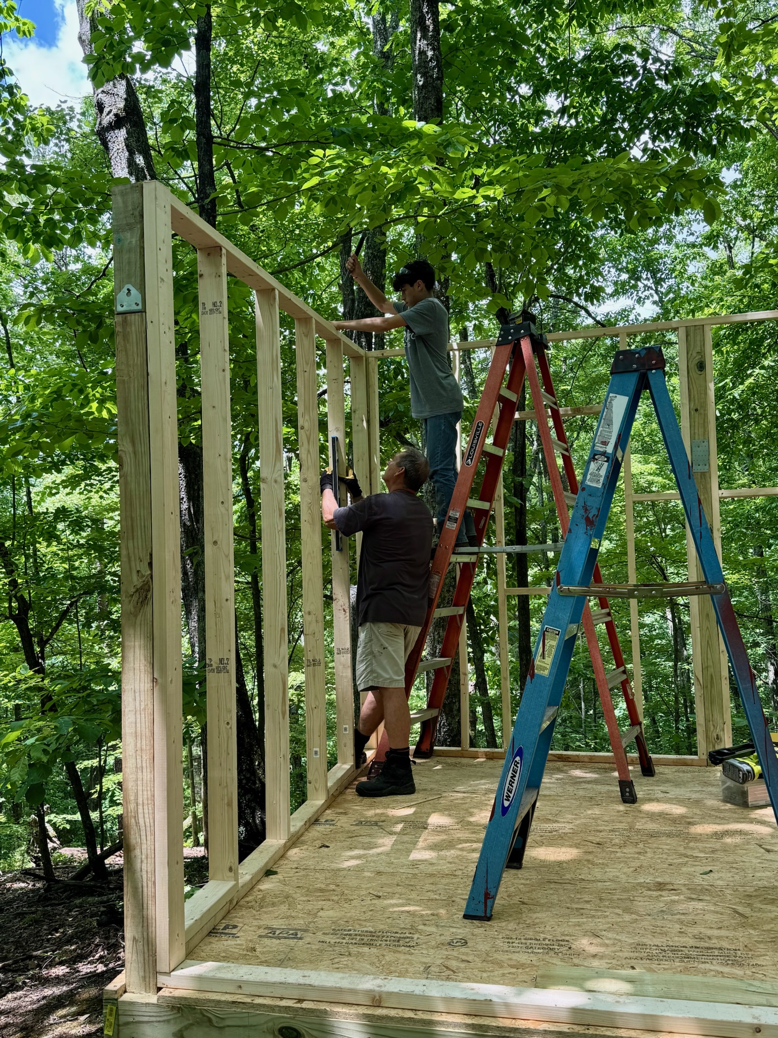 Building the framework of a cabin